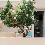 شقة Fay's